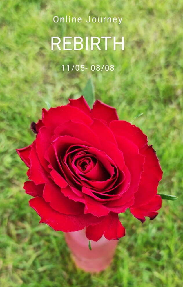 Rebirth